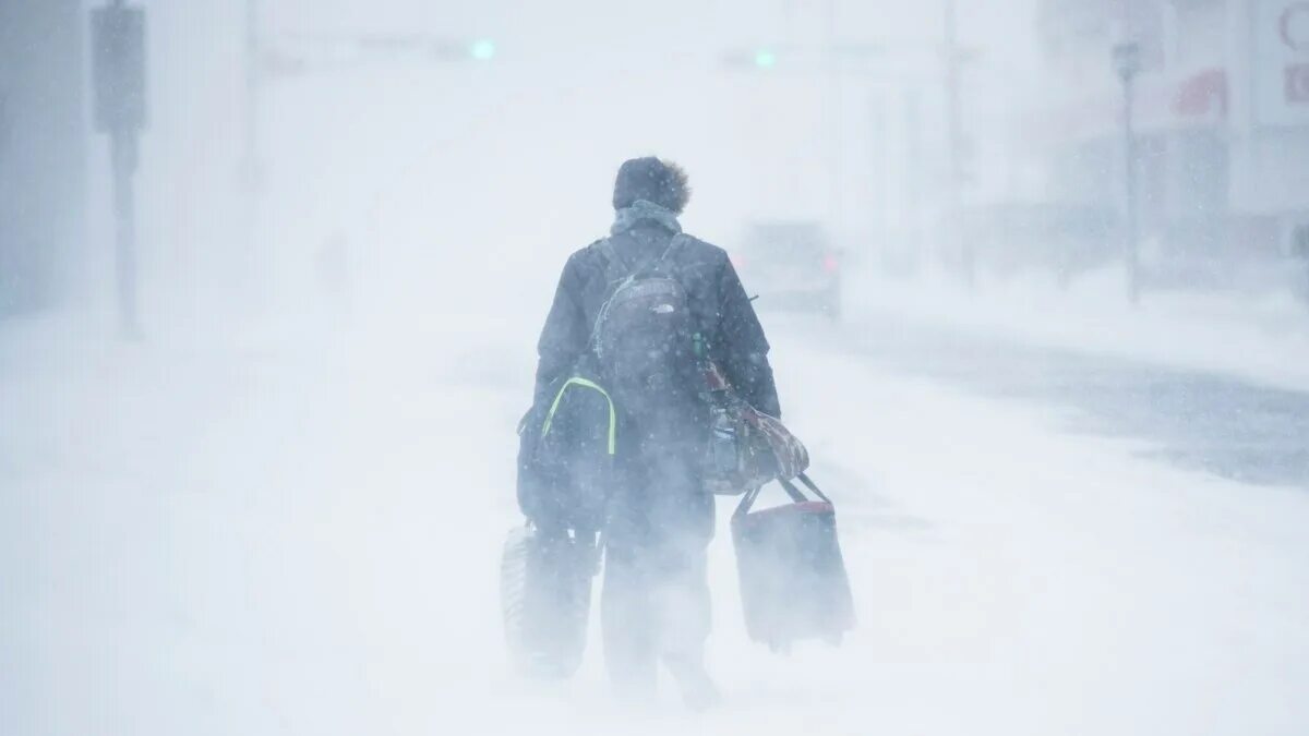 Cold first. Bitter Cold. Strong Wind Cold people. Bitter Cold перевод.