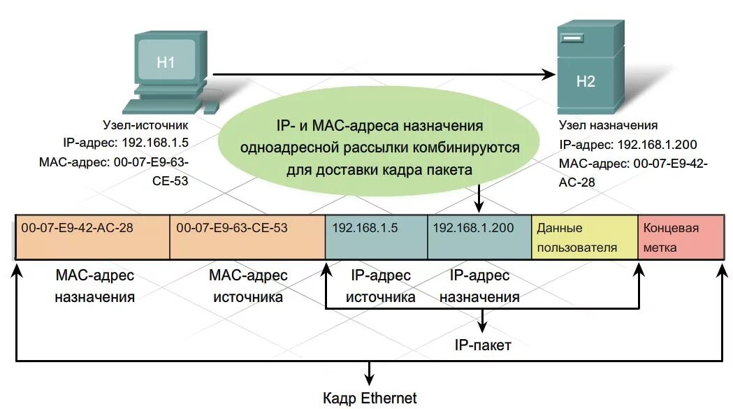 Окружение адреса. Протокол TCP схема. Протокол TCP/IP для чайников. Канальный уровень TCP/IP Ethernet. Структура пакета Ethernet TCP/IP.