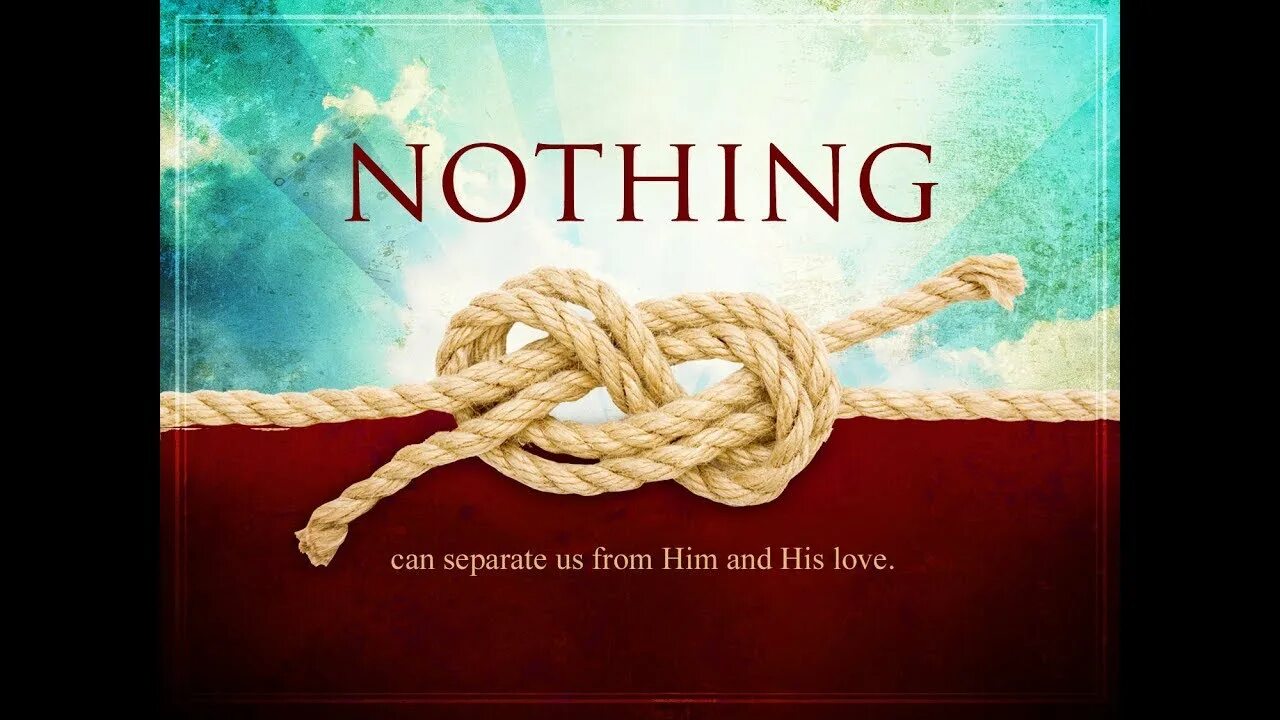 Кость бледная. The separate can. The separate can. The separate can. The separate can.