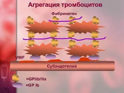 Агрегация тромбоцитов это