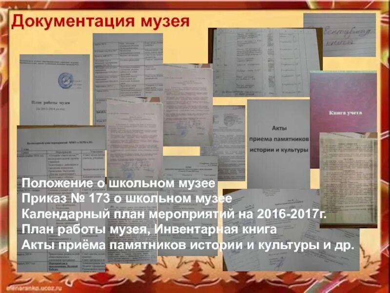 Нормативные документы, регулирующие деятельность школы. Устав попечительского совета школы. Документация школьного музея. Положения школы. Документация по работе школьных музеев.