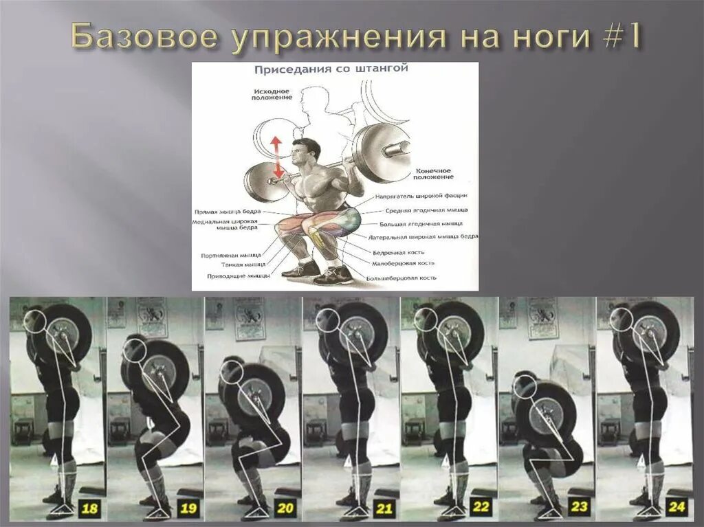 Классификация физических упражнений по структуре движений. Классификация физических упражнений. Упражнение по биомеханической структуре. Упражнение по биомеханической структуре. Классификация физических упражнений.