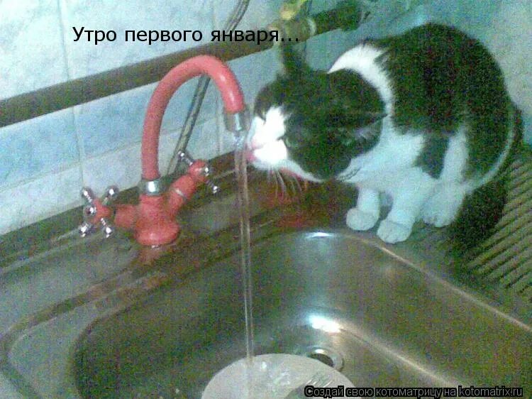 в первое же утро после приезда. в первое же утро после приезда. в первое же утро после приезда. в первое же утро после приезда. с утром первого января.