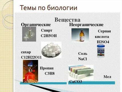 Какие вещества относятся к неорганическим и органическим
