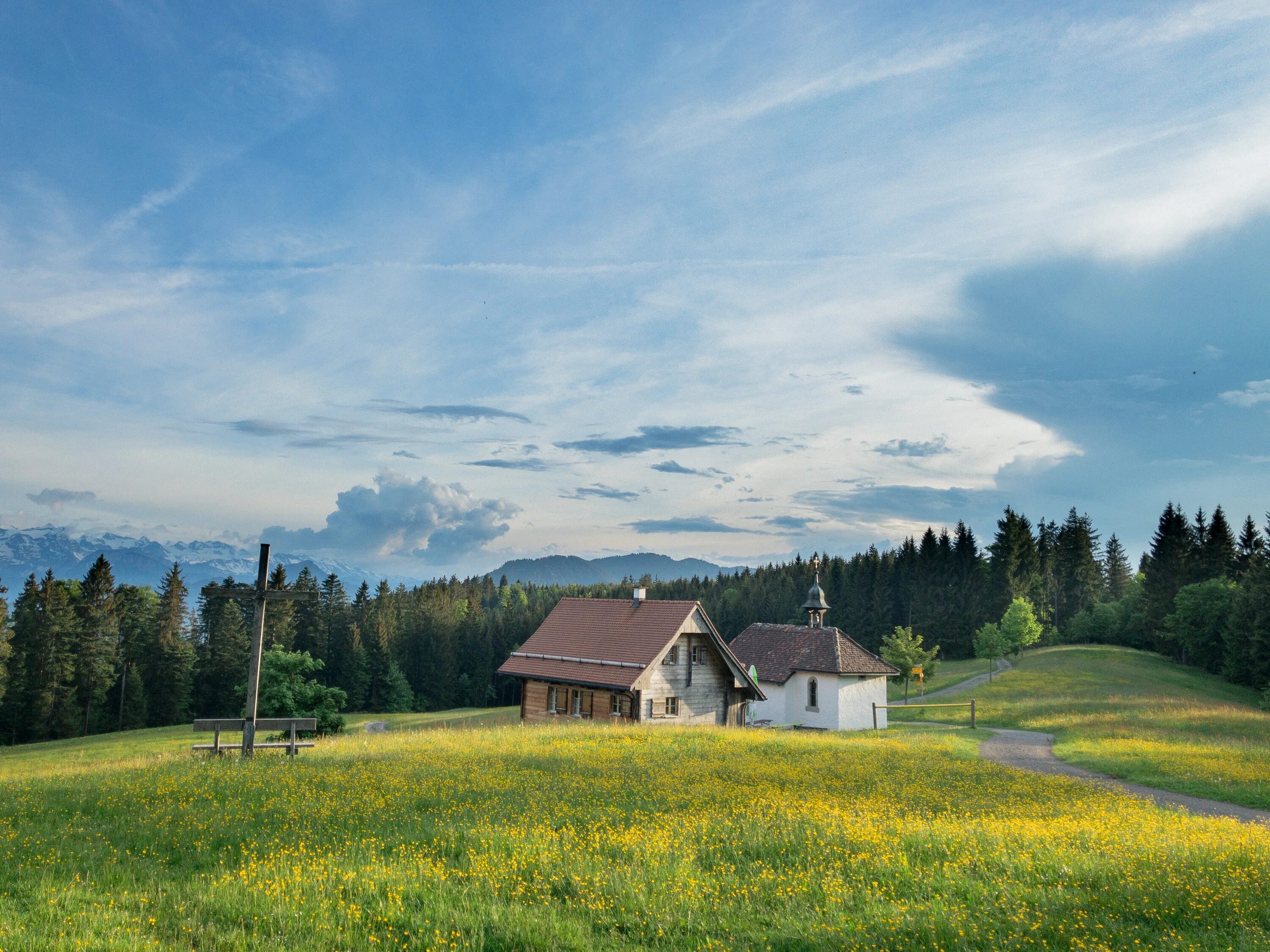 Countryside walks. Домик в поле. Луг с домиком. Сельская местность. Красивый дом в лугах.