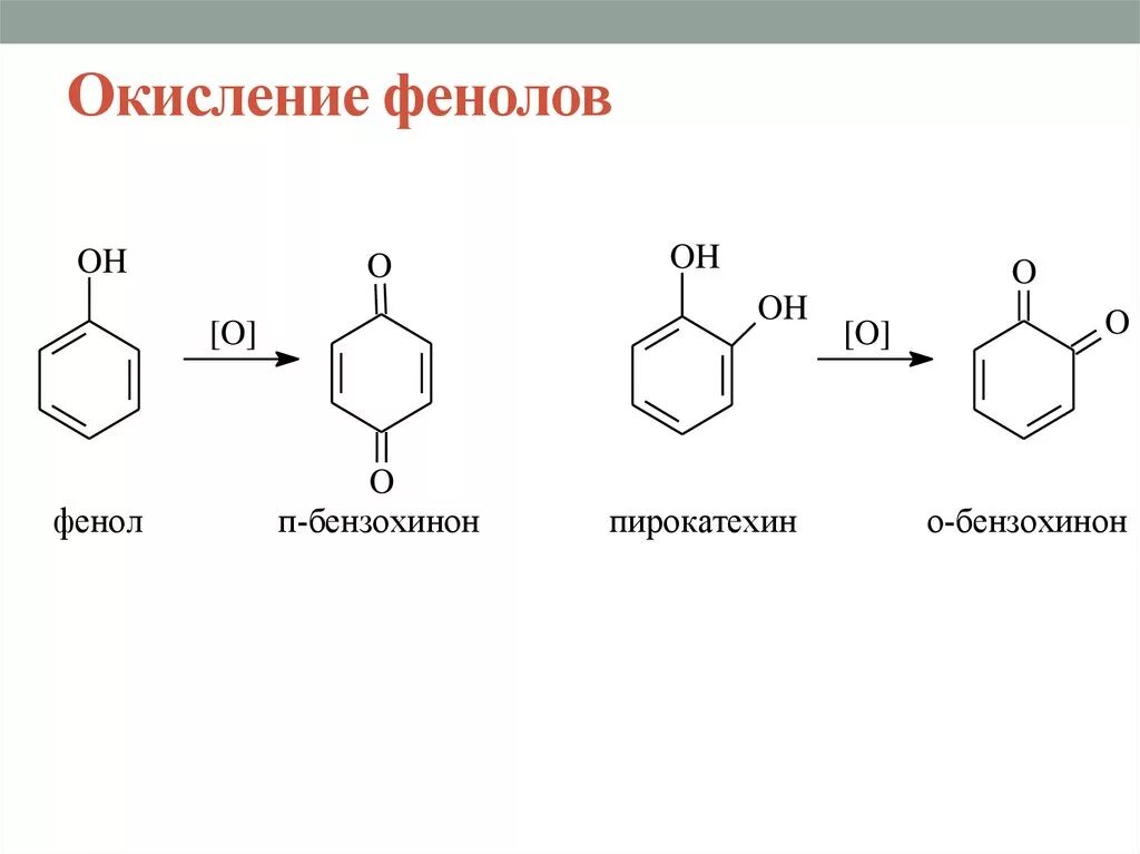 Окисление фенола до бензохинона. Окисление фенола кислородом воздуха. Реакция окисления фенолов. Окисление фенолов хромовой смесью. Реакции образования фенола