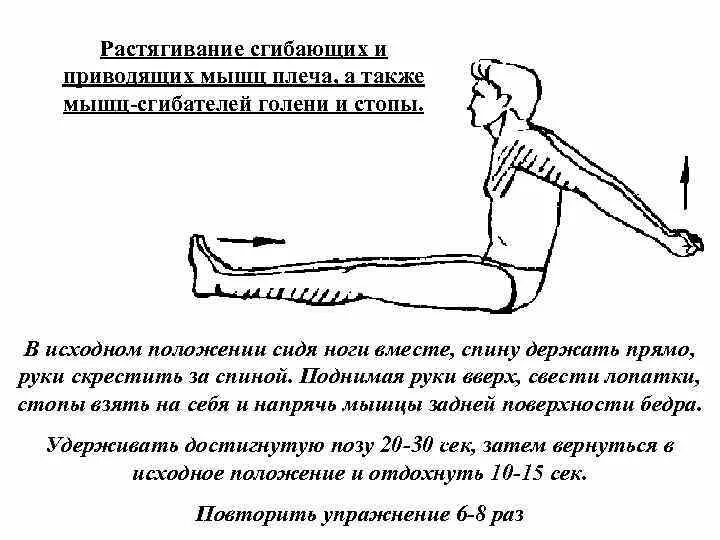 Упражнения для приводящих мышц. Растяжка сгибателей бедра. исходное положение растяжка. растяжка мышц сгибателей голени. растяжка сгибателей плеча.