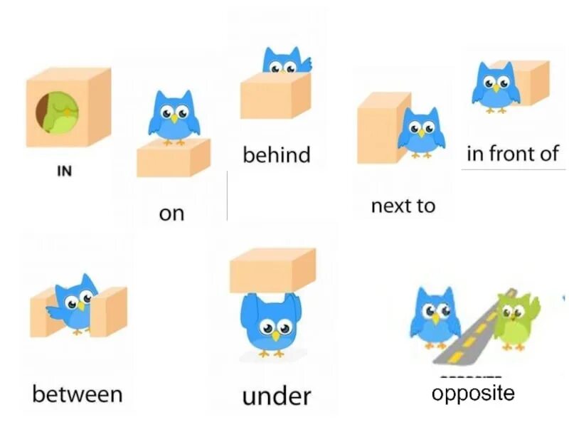 Jane lives nearest next to the. Предлоги in on under behind next to in Front of. Предлоги английский on in next to under. Prepositions в английском языке. Предлоги в английском рисунок.