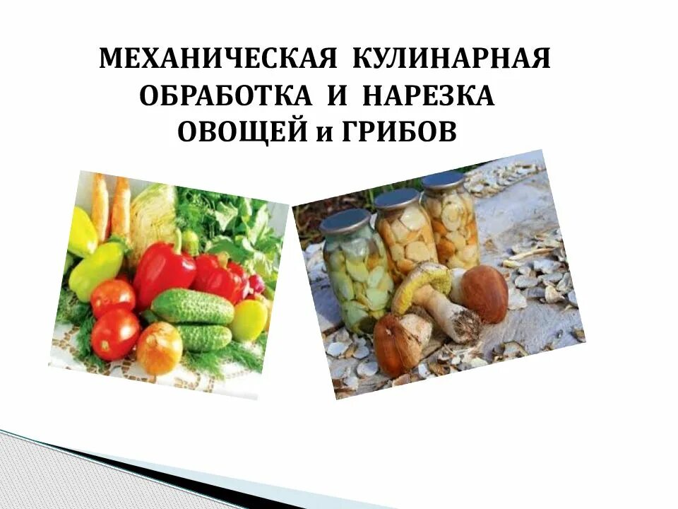 Этапы обработки овощей. Механическая кулинарная обработка овощей. Механическая кулинарная обработка грибов. Первичная обработка овощей и грибов. Нарезка овощей и грибов.