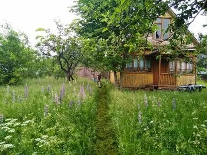 Погода покровское московская