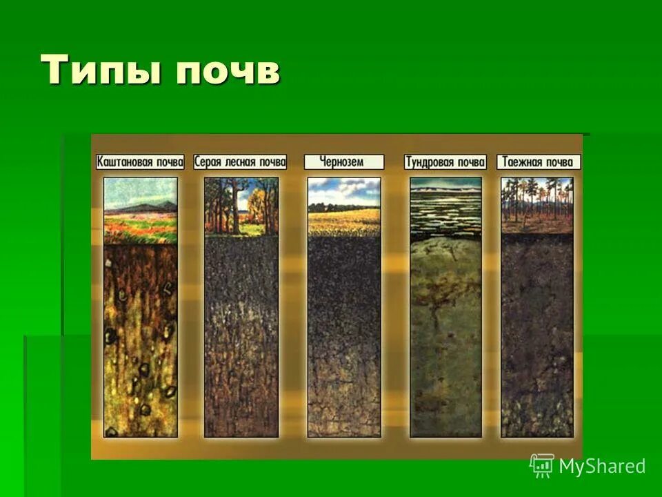 В какой природной зоне почвы наиболее плодородные. Основные типы почв России 8 класс география. Главные типы почв России 6 класс. Почвы России 4 класс окружающий мир типы. Типы почв на равнинах в России.