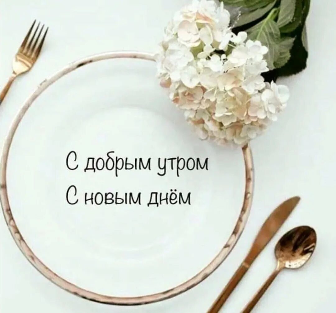 Афоризмы хорошего доброго дня. Цитаты про утро. цитаты с добрым утром. доброе утро афоризмы. интересные фразы с добрым утром.