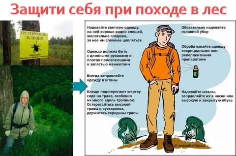 Надел особый