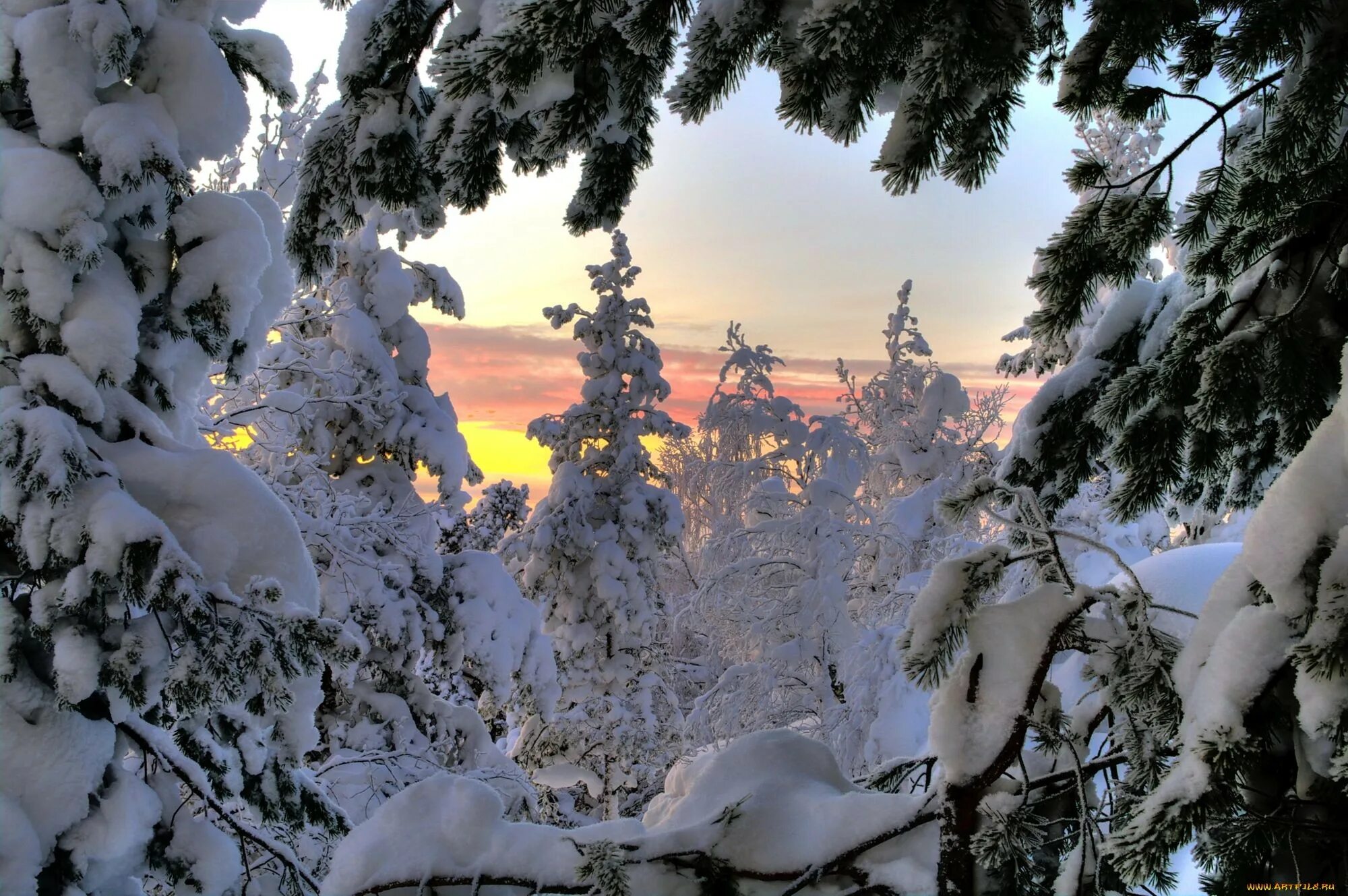 Песня а где то заснеженную сибири. Зимняя природа. Зимняя Тайга. Природа Сибири зима. Красота природы зимой.