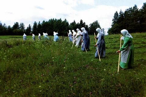 Земля в белом платке
