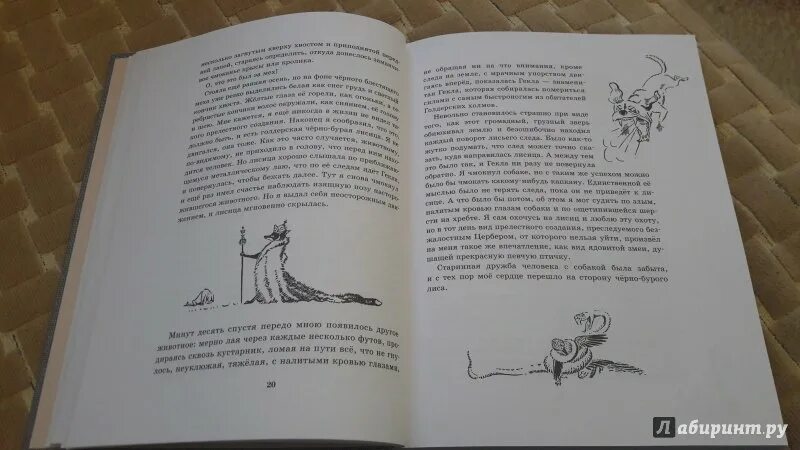 Краткое содержание рассказы о животных сетон томпсон. Краткое содержание рассказы о животных сетон томпсон