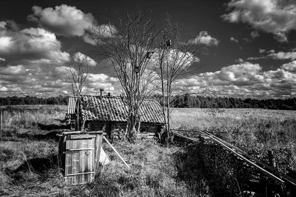несколько дней лил не переставая холодный дождь в саду шумел мокрый. наверное самое грустное время в деревне конец. 24_ноября – фёдор студит фото. наверное самое грустное время в деревне конец. прощание с осенью конец ноября самое грустное время в деревне.