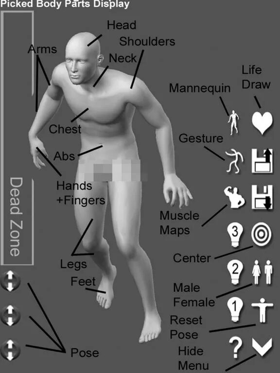 Pose tool 3d. Pose tool 3d на пк. pose tool 3d apk последняя версия. posing tool. art model - 3d pose tool.