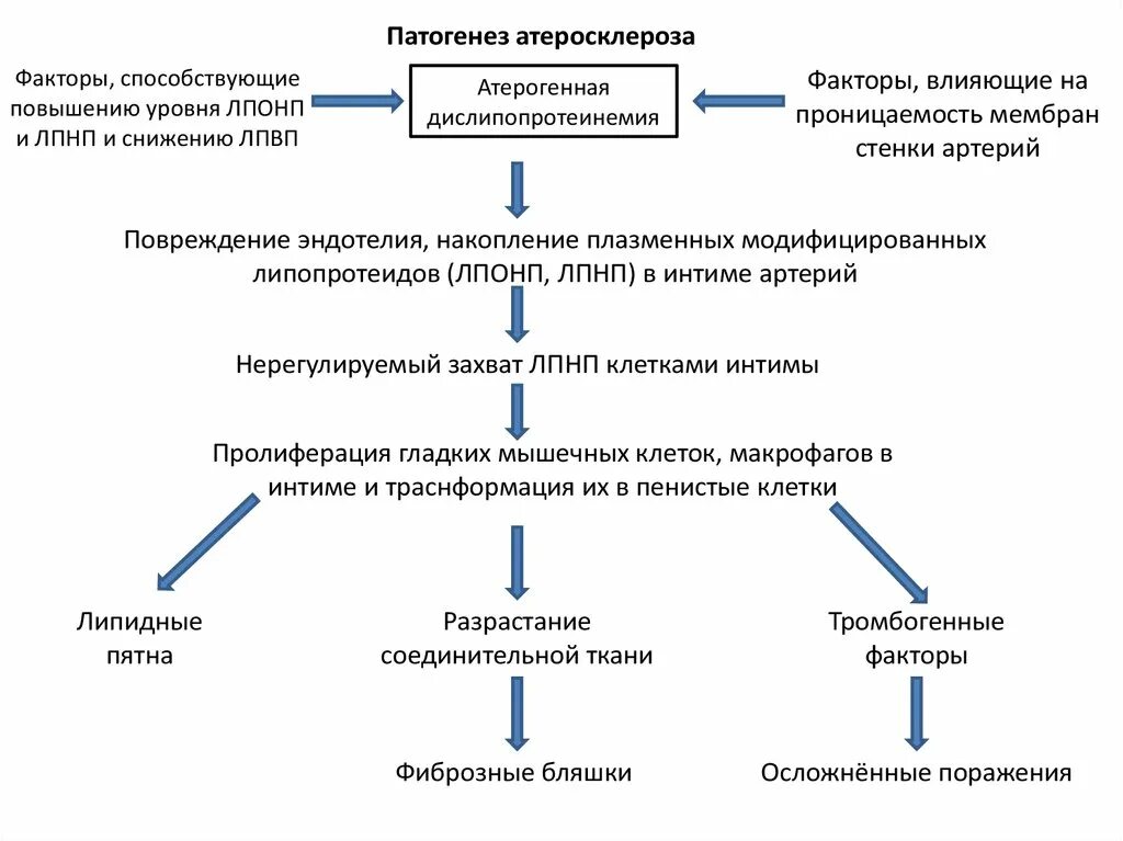 Атеросклероз биохимия. Атеросклероз биохимия