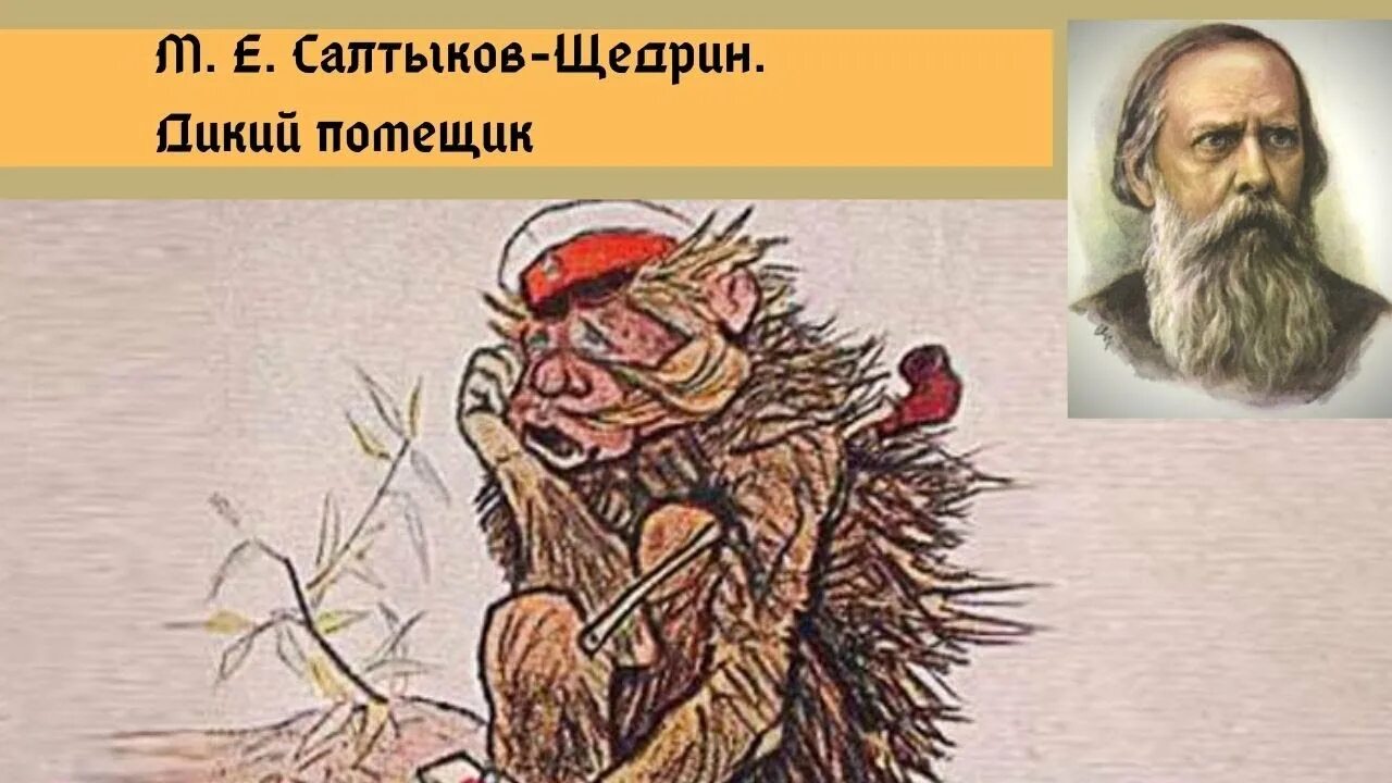 Произведение дикий помещик салтыков щедрин. Сказка Салтыкова дикий помещик. Сказки м. е. Салтыков-Щедрин «дикий помещик». Иллюстрации к сказке дикий помещик Салтыкова-Щедрина.