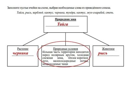 Рассмотрите схему и заполните пустые ячейки