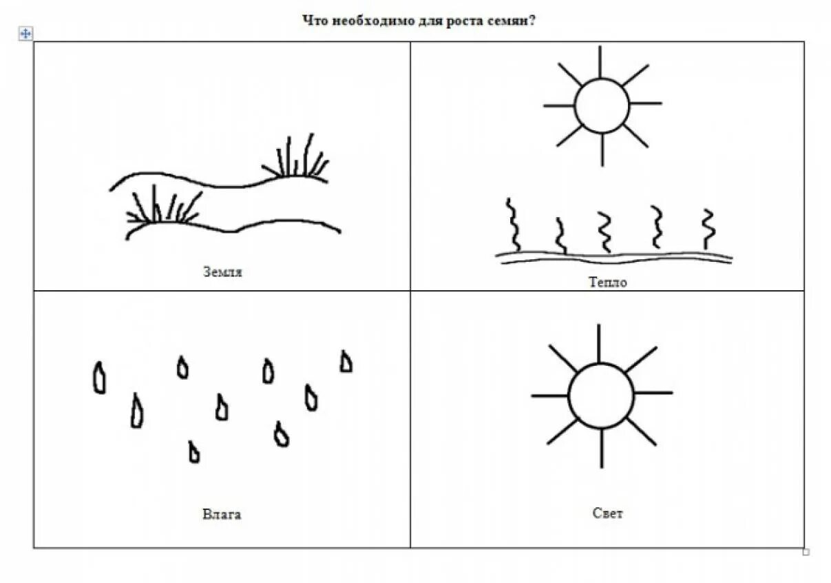 Схема посадки семян в детском саду. Мнемо таблицы посадки растений. Схема что нужно для роста растений. Схемы по экологии для дошкольников. Конспект занятия в средней группе земля