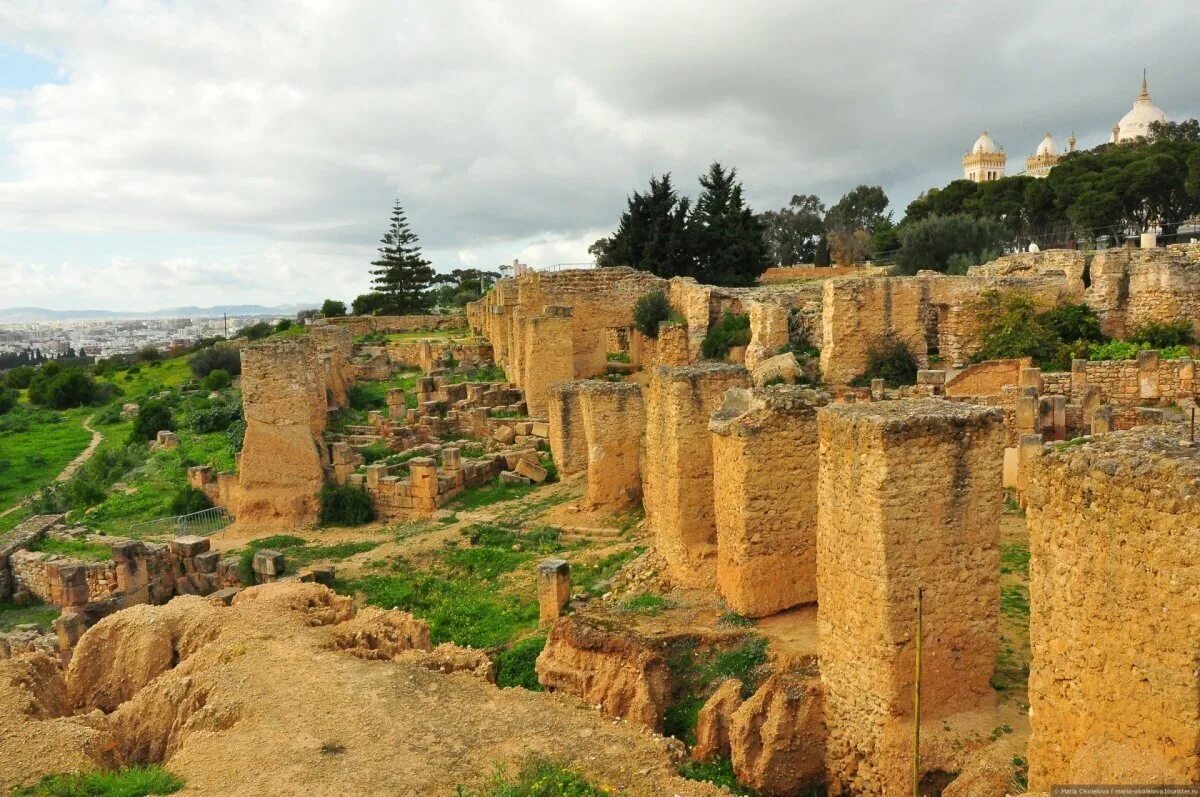 Карфаген в древности. Руины Карфагена Тунис. Древний город Карфаген в Тунисе. Развалины Карфагена в Тунисе. Руины древнего города Карфаген.