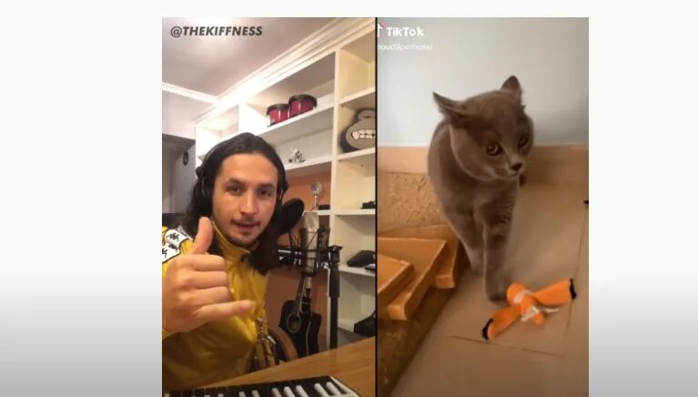 The kiffness please go. The kiffness please go