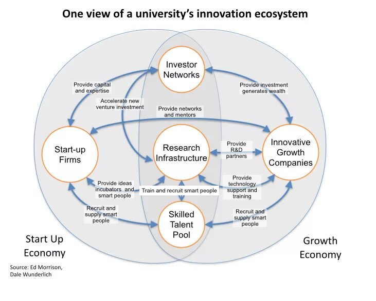 Innovation ecosystem. Стартап экосистема Сингапура. Экосистема it команд. What is the innovative Companies. Talent start