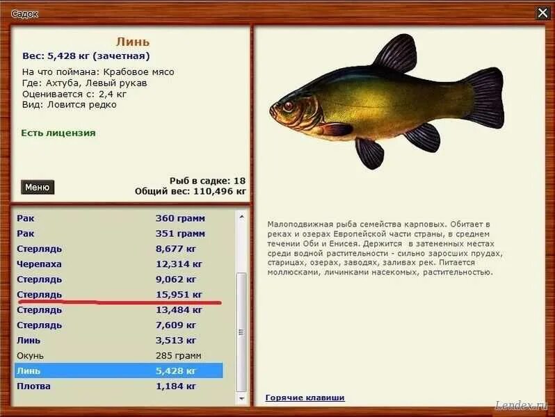 Русская рыбалка озеро рыба. Линь русская рыбалка. Линь рыба вес. Где можно поймать линя. Русская рыбалка 3 Линь.