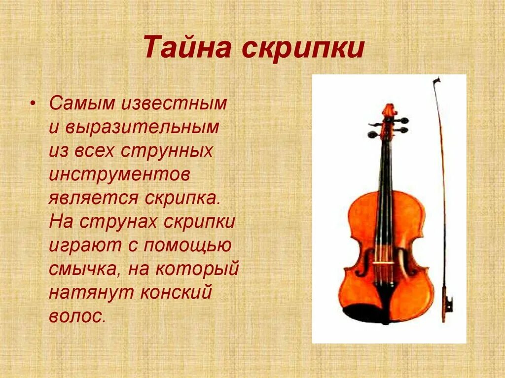 Рассказ о скрипке. Описание музыкального инструмента. Доклад о скрипке. Слайд с о скрипкой.