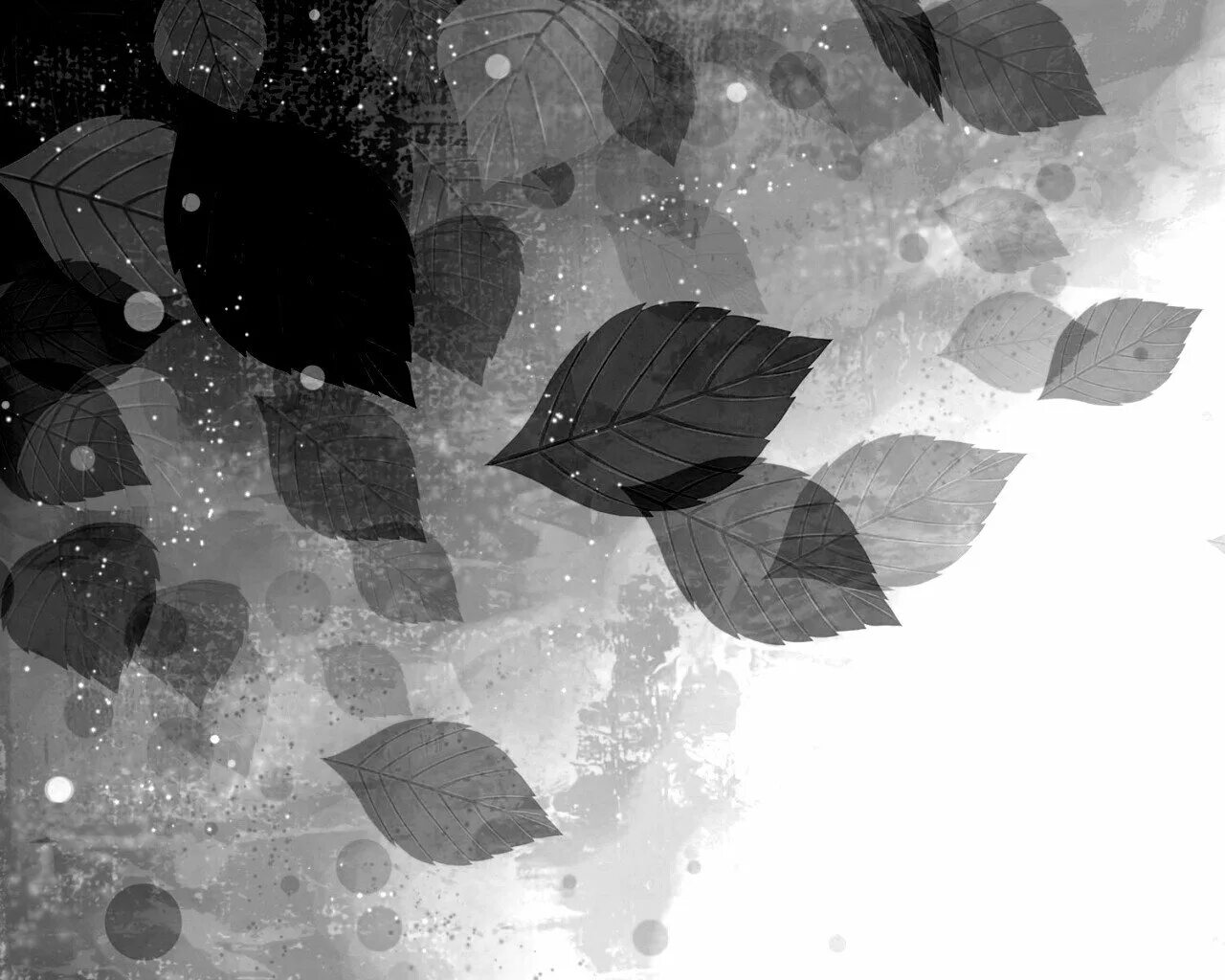 Серый листок. Обои листья. фон с листиками. обои листья серые. серый лист.
