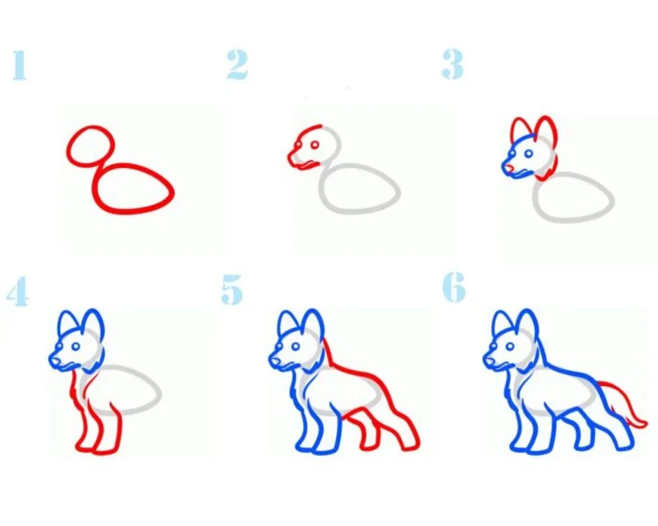 Поэтапное рисование волка для детей. Уроки рисования собака для детей. Рисование овчарки пошагово. Рисунок собаки легкий. Нарисовать кому легко