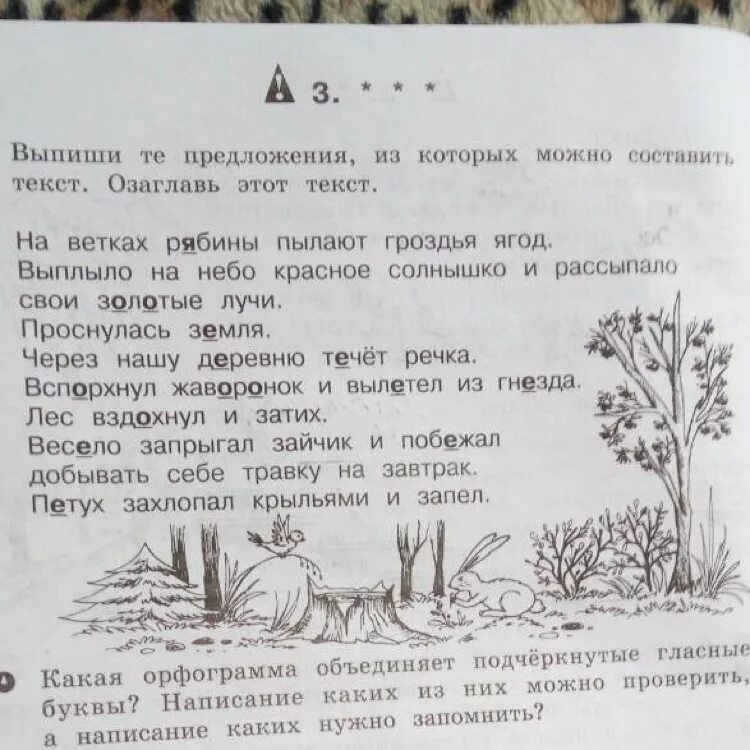 Прочитайте составьте из слов предложения недалеко росло. Озаглавь текст. Текст и предложение. Выпиши предложение. Составить текст из предложений.