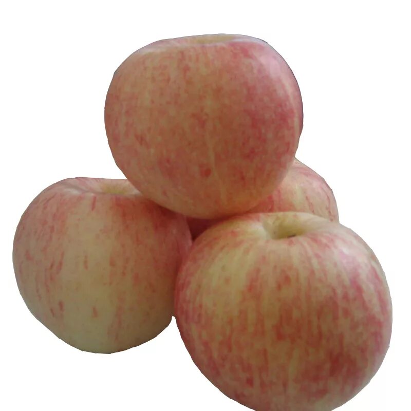 Царское яблоко. Яблоки Роял Гала. Царские яблоки фото. Яблоки Императорские цена Сургут.