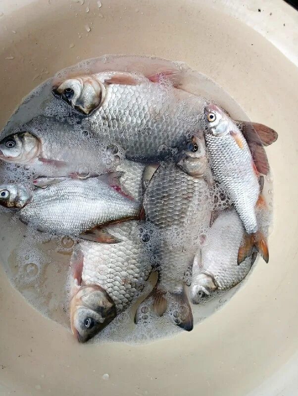 рыбаки шадринска