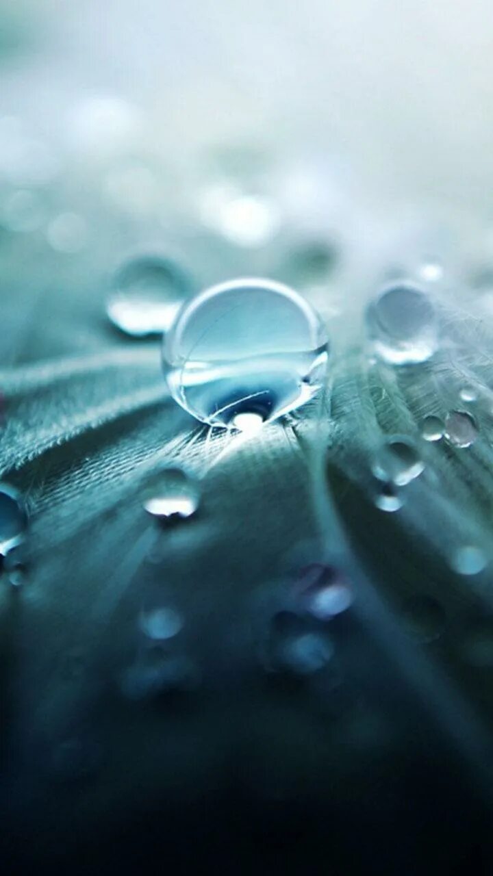 Капли на стекле. Drops lives you. О. Drops lives you. Drops lives you.