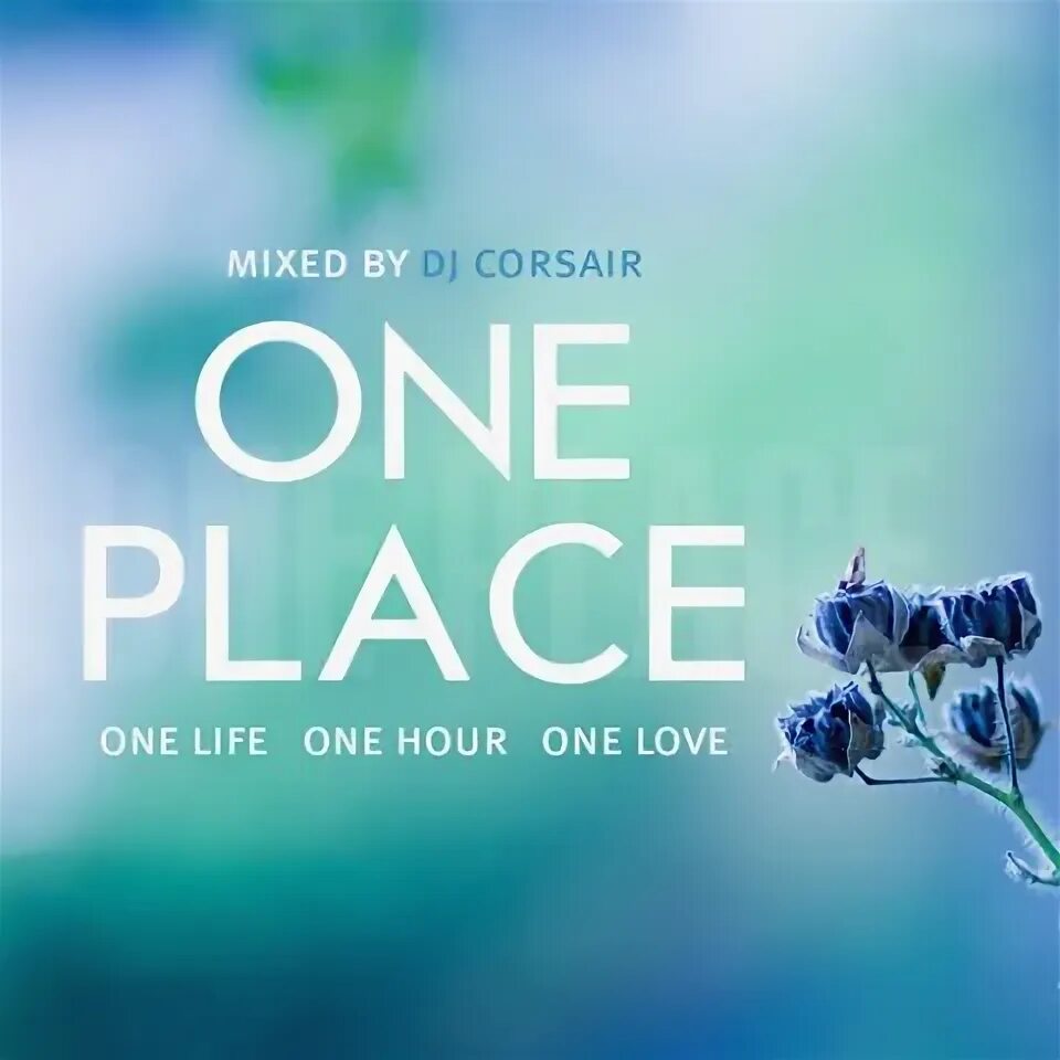 One place телефон. Givens 2 1 mix