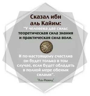 Сказал ибн