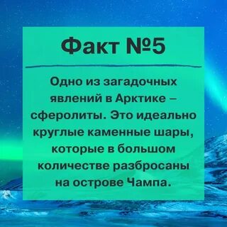 Арктика интересное