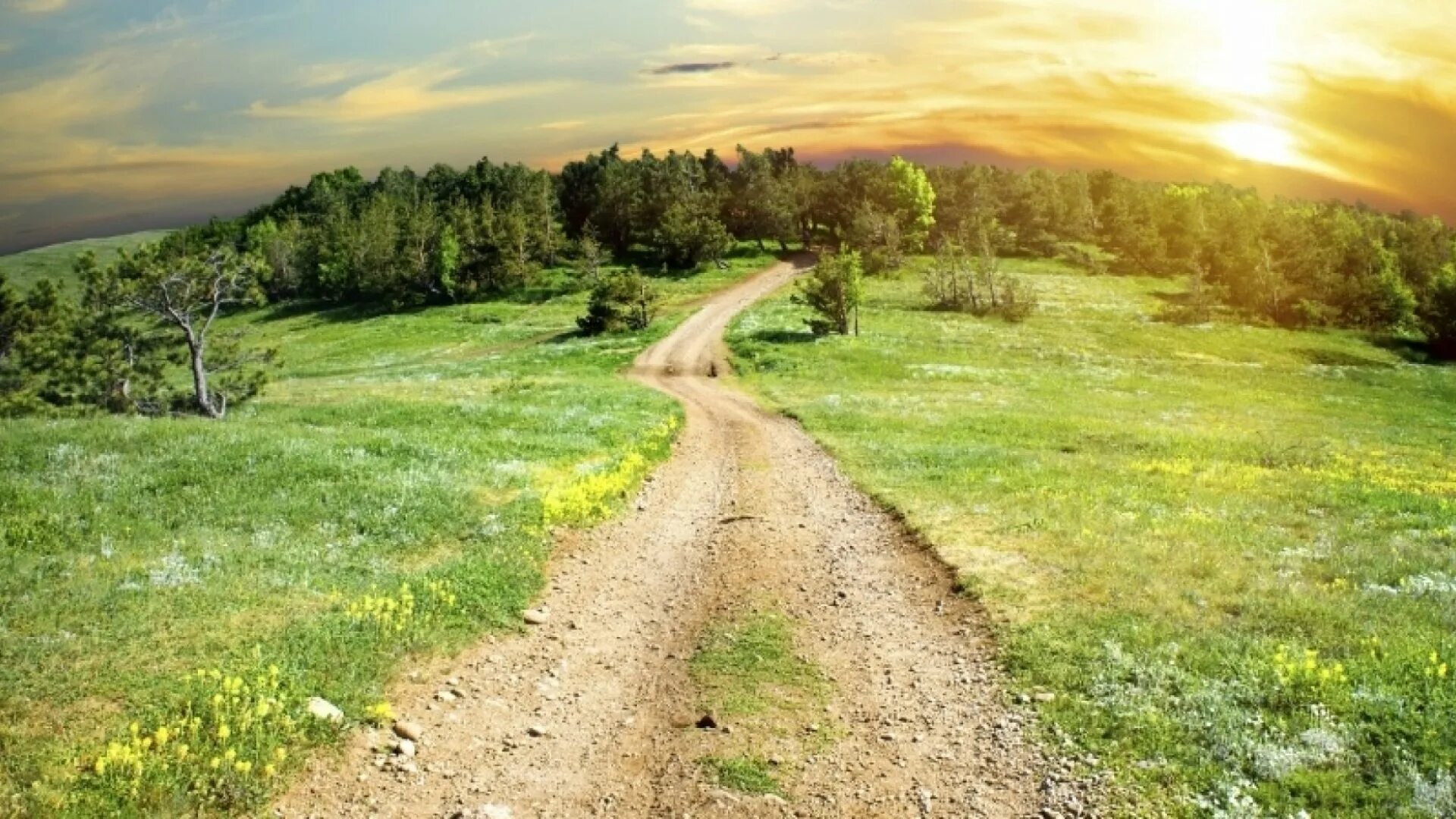 Save path. Nature trail. a bright path картинки. nature hard the way. small path as a striped.