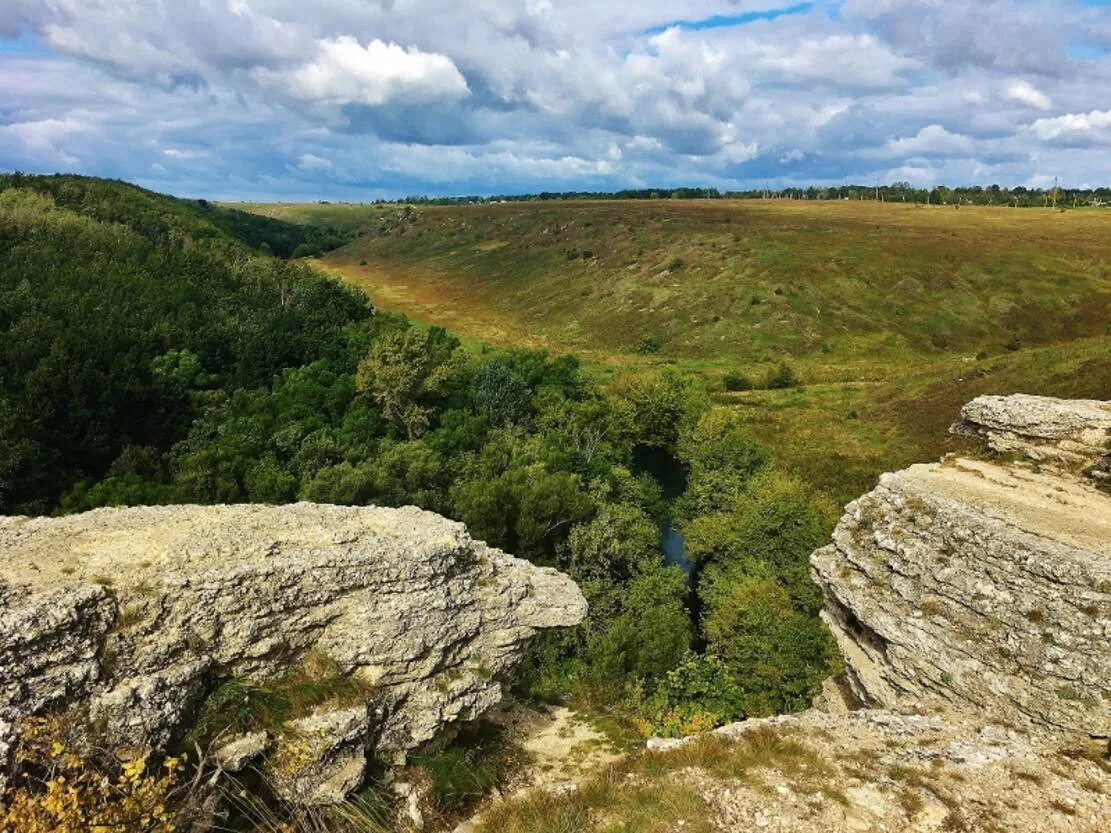Заповедник галичья гора морозова гора. Урочище галичья гора. Заповедник задонск галичья гора. Галичья гора липецкая область. Галичья гора сайт.