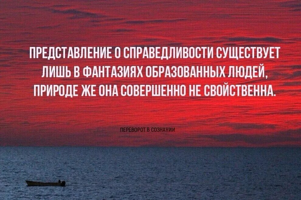 Справедливость картинки. Никакой справедливости. Справедливости нет. Пожелания мафиози. Мемы про рыцарей крестоносцев.