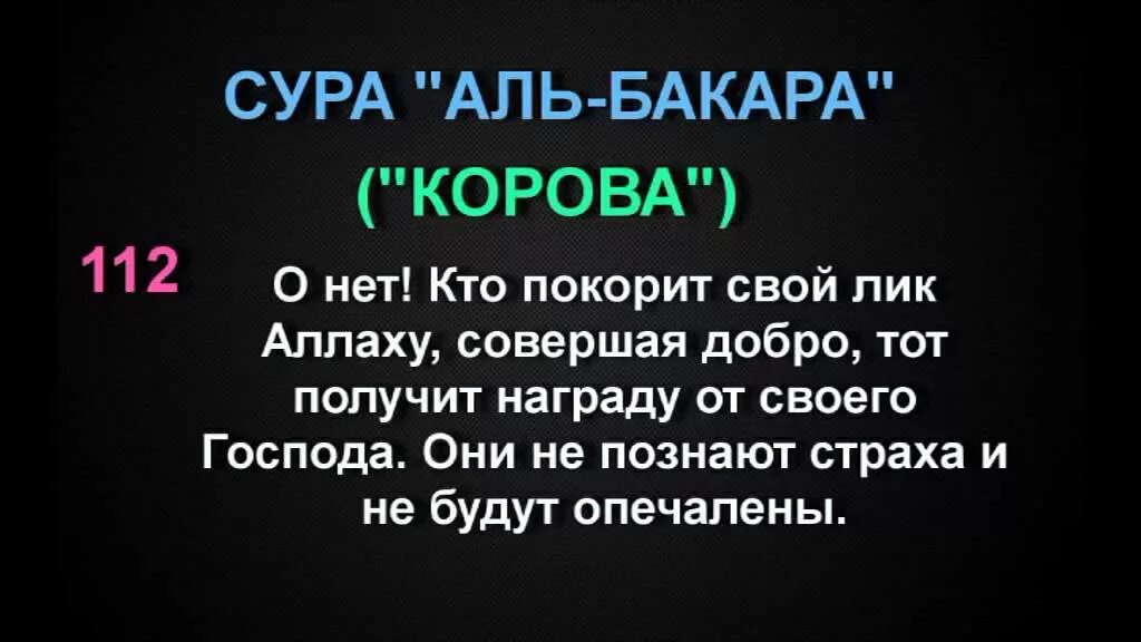 Сура 2 корова. Бакара 155 аят Сура Аль Бакара. Сура Аль Бакара 102. 102 Аят Аль Бакара. Сура корова.