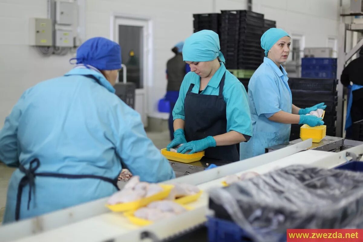 лазер нн кстово. упаковщица. работа в кстово. свежие вакансии в кстово. прачка работа.