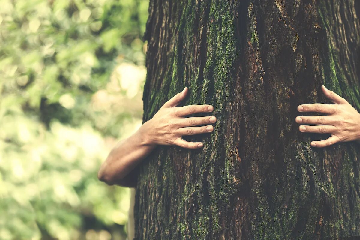 Being close to nature