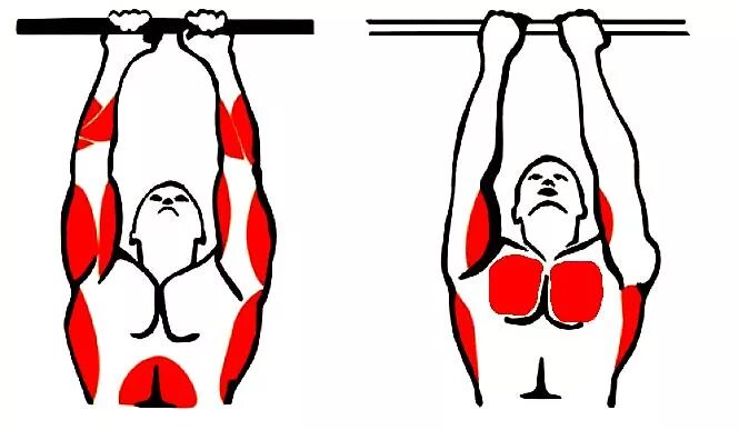 Подтягивания узким хватом мышцы. Подтягивания супинированным хватом. Узкий хват турник мышцы. Подтягивания на турнике узким хватом. Подтягивания узким хватом какие