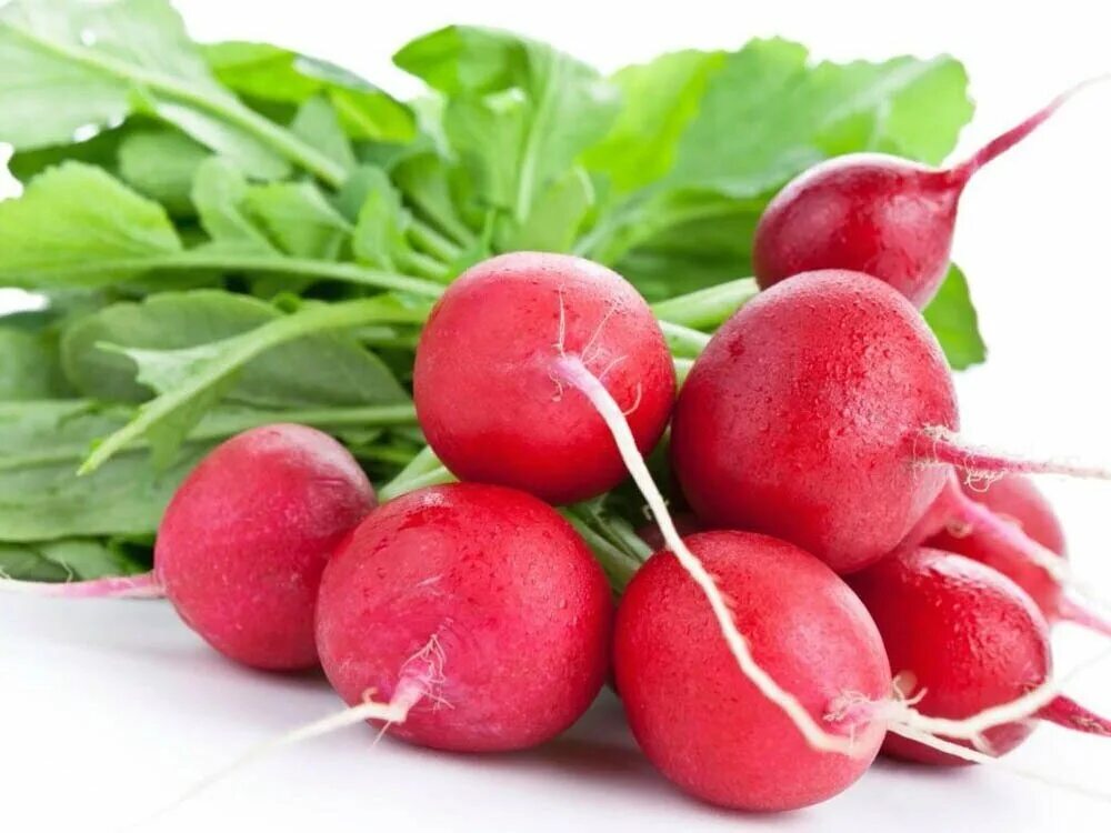 Редис красный 500г упаковка. Реди. Гавриш редис аскания. Редис г. Редис 500г фрутлэнд.