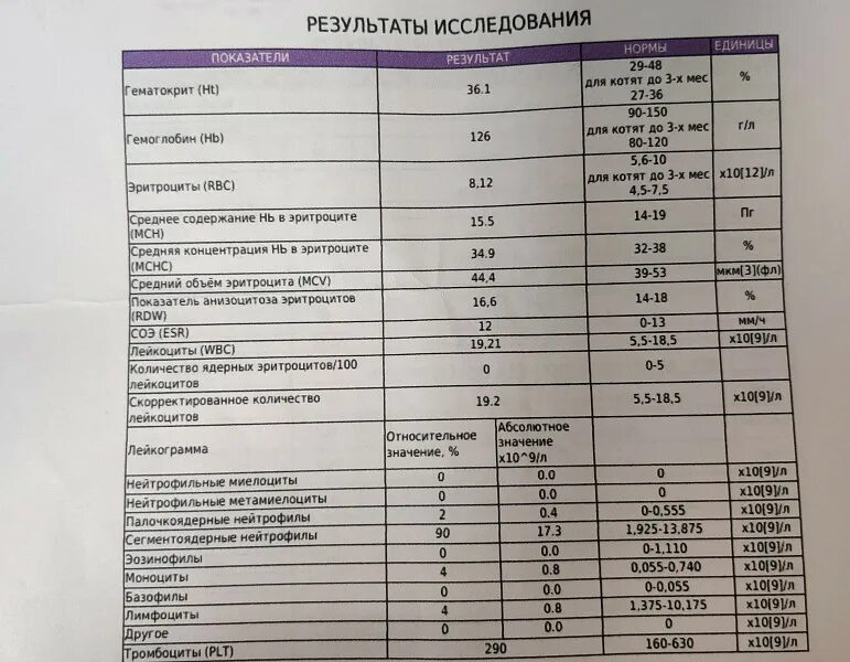 Анализы на онкологию. Результаты анализов на онкологию. Общий клинический анализ крови при онкологии. ОАК при онкологии легких. Нормы анализов онкология