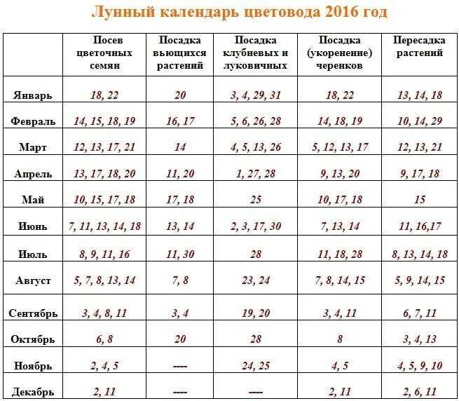 Лунный календарь на ноябрь цветовода для комнатных